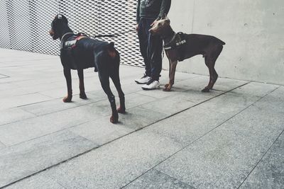 Close-up of woman in pond