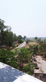 Plants growing on road against clear sky