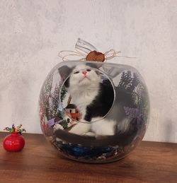 Cat in glass on table