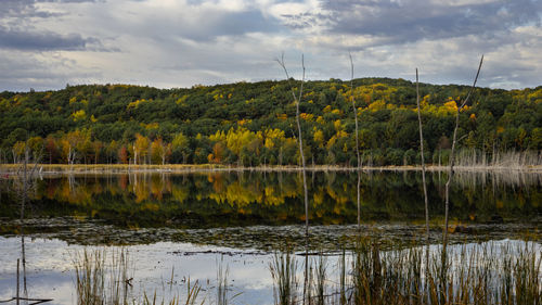 Scenic view of lake by trees against sky