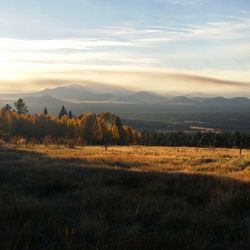 Scenic view of field against sky at sunset