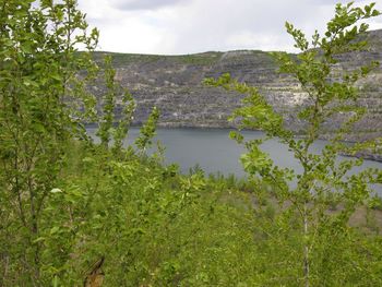 Scenic view of tree mountains against sky