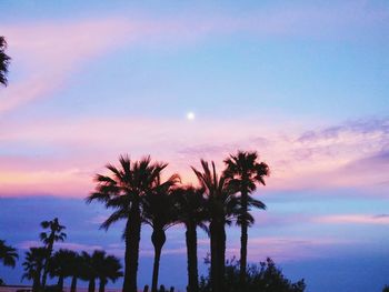 Low angle view of silhouette palm trees against sky