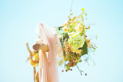 Close-up of yellow flowers against clear sky