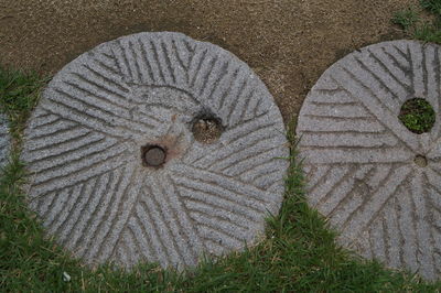 Close-up high angle view of grass