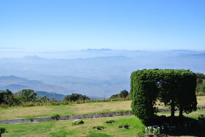 Scenic view of field against clear sky