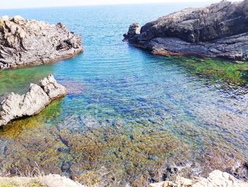 Scenic view of sea shore