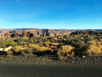 Scenic view of landscape against blue sky