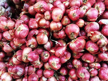 Full frame shot of pink for sale at market stall