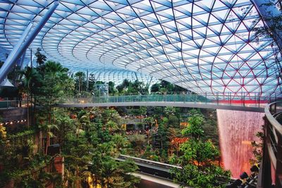 Trees seen through greenhouse