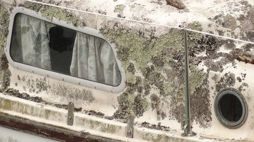 Reflection of trees on car window
