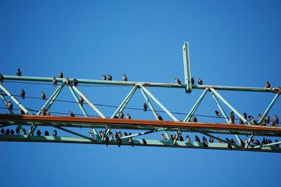 Low angle view of crane against clear blue sky