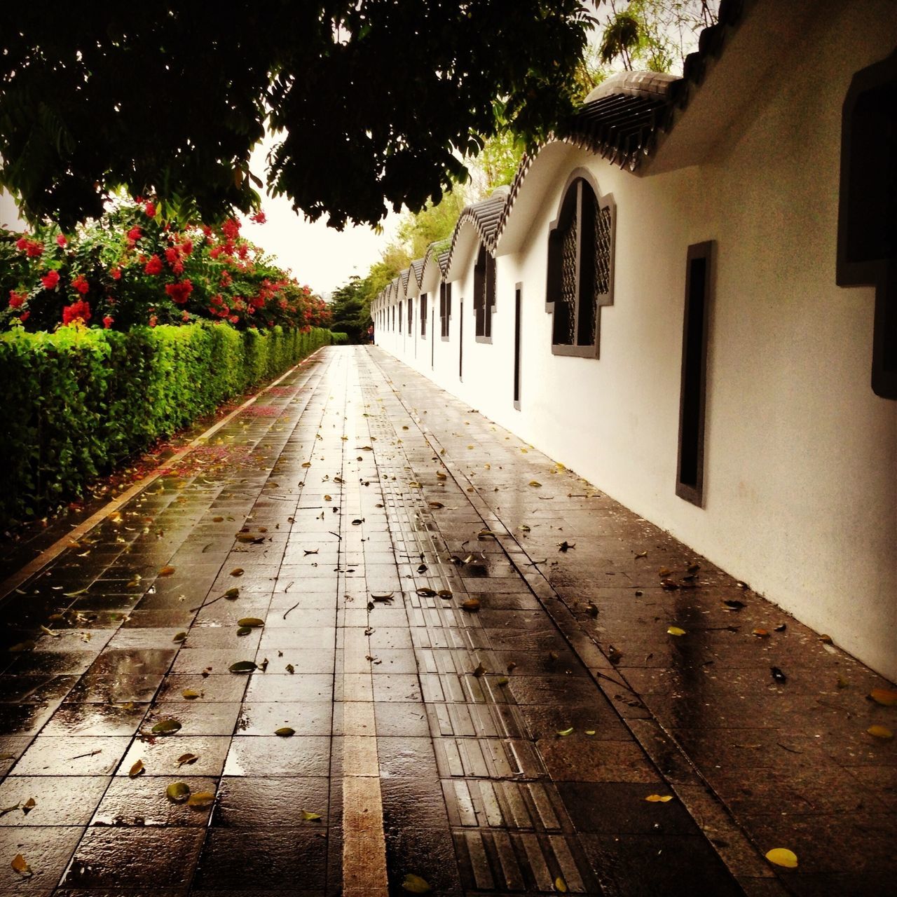 the way forward, diminishing perspective, building exterior, architecture, built structure, vanishing point, tree, narrow, street, house, alley, empty, walkway, residential structure, long, footpath, pathway, road, transportation, no people