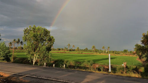 Scenic view of field against rainbow in sky