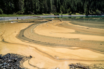 High angle view of lake along trees