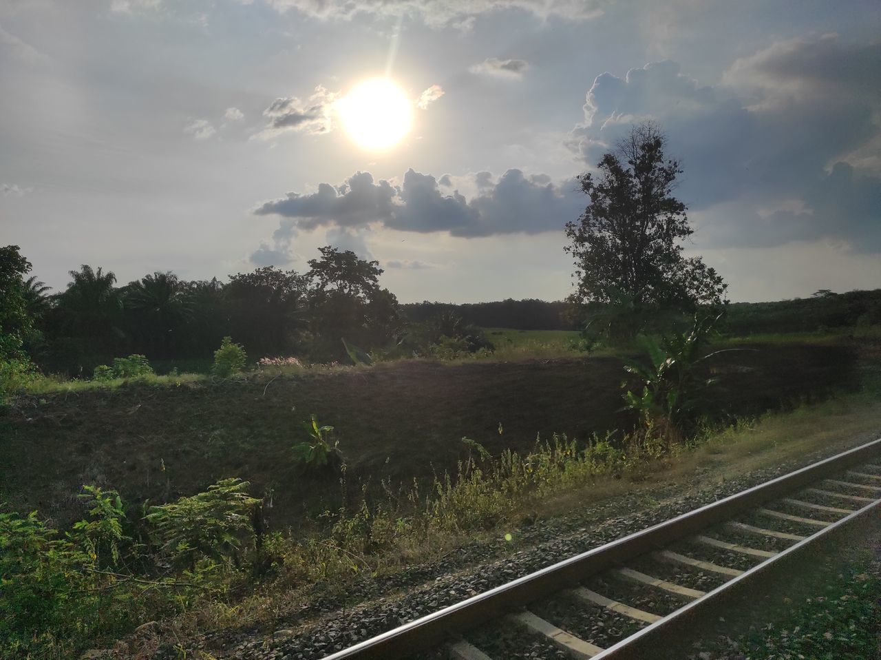 RAILROAD TRACK AMIDST TREES AGAINST SKY