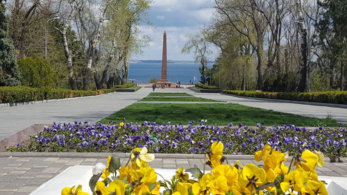 View of flowers in park