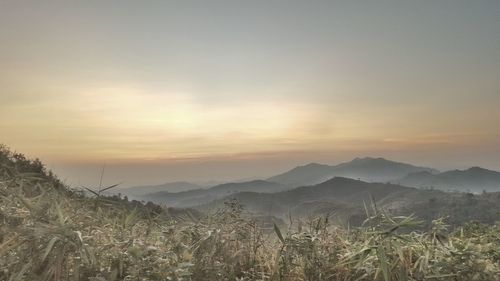 Scenic view of field against sky during sunset