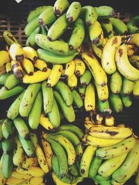 Close-up of bananas