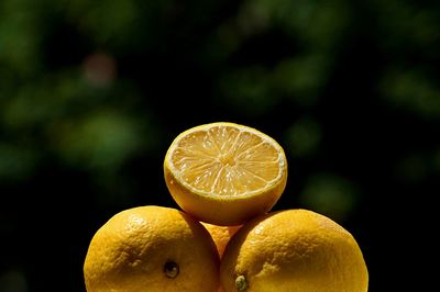 Close-up of oranges