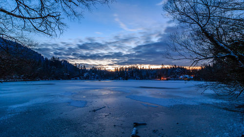 Snow covered bare trees against sky