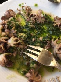 Close-up of food