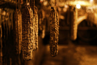 Close-up of rusty hanging on wood