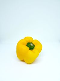 Close-up of yellow bell pepper against white background