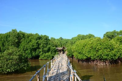 Footbridge amidst trees against clear blue sky