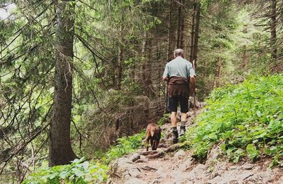 Rear view of man walking with dog in forest