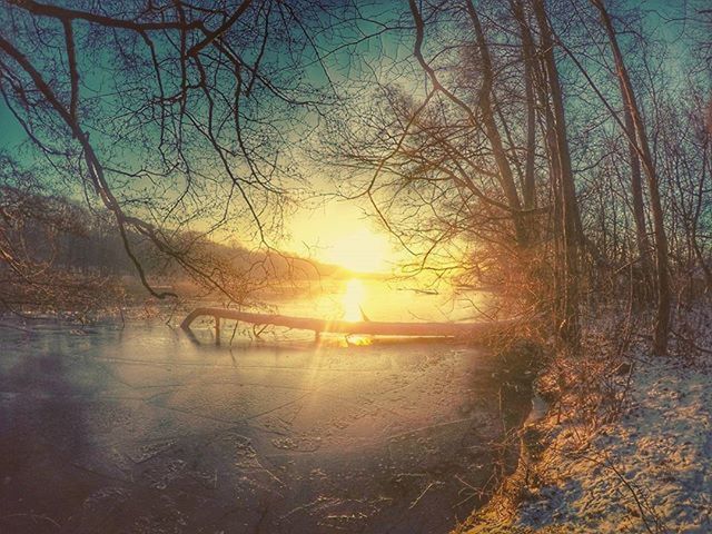 water, sun, sunset, tranquility, bare tree, reflection, tranquil scene, tree, scenics, beauty in nature, nature, lake, sunlight, branch, sky, silhouette, idyllic, sunbeam, waterfront, river