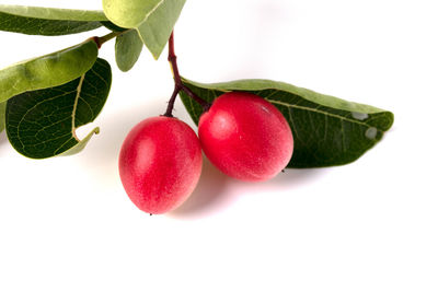 Close-up of strawberries