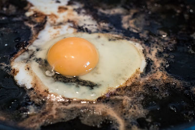 High angle view of egg in frying pan