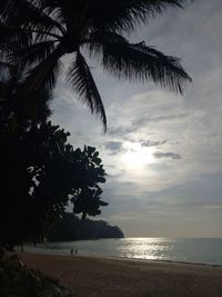 Silhouette palm tree by sea against sky