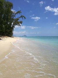 Scenic view of beach