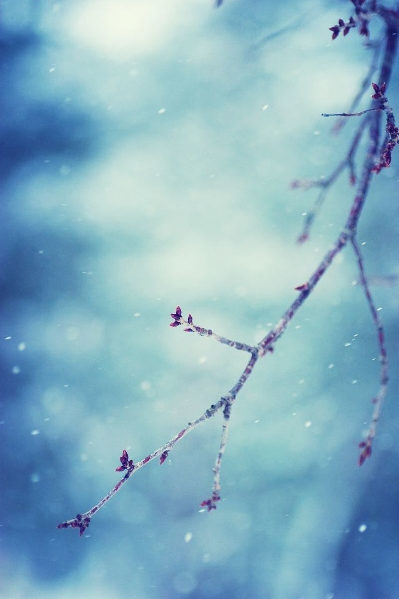 water, nature, focus on foreground, mode of transport, day, transportation, weather, outdoors, close-up, beauty in nature, sky, no people, high angle view, tranquility, drop, fragility, cloud - sky, season, blue, branch