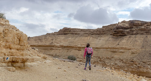 Rear view of woman on rock against sky