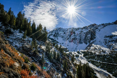 Mineral fork in big cottonwood canyon