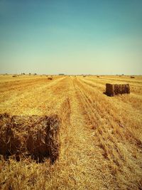 Scenic view of field against clear sky