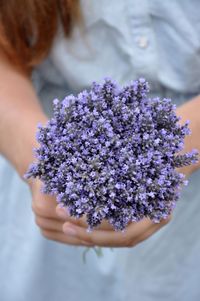 High angle view of hands holding lavender flower