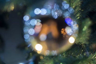 Close-up of illuminated christmas tree at night