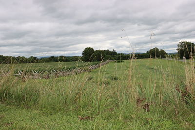 Scenic view of agricultural field against sky