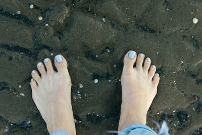 Low section of woman standing on beach