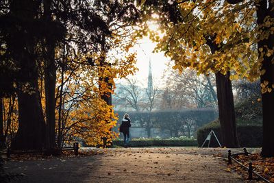 Rear view of people by trees in forest during autumn