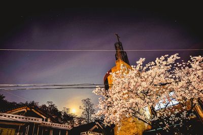 Low angle view of illuminated trees against sky at night