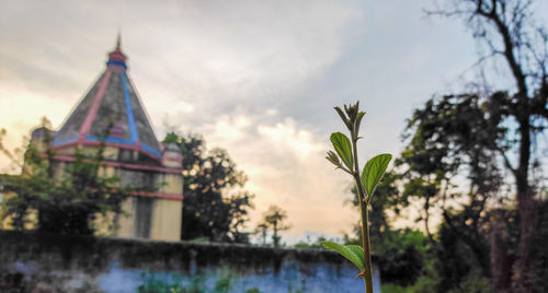 Panoramic view of building and trees against sky