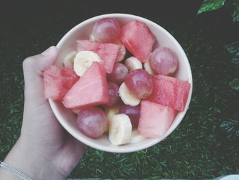 Cropped image of hand holding strawberries