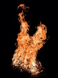 Close-up of bonfire against black background