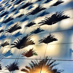 Low angle view of palm tree against sky