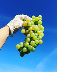 Low angle view of hand holding grapes against blue sky